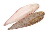 Sole langue Senegal calibre 400/600 - 10kg - prix au kilo